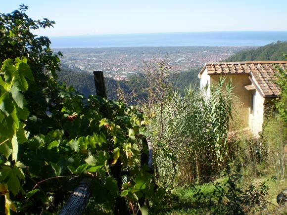Agriturismo Il Paradiso