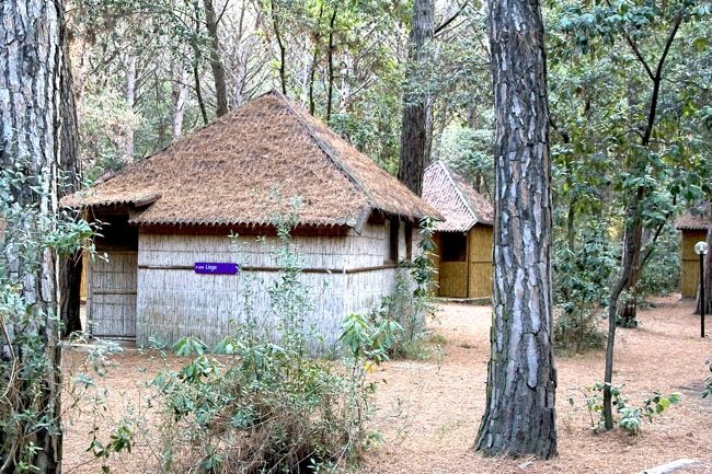 Campingdorf Club Cecina