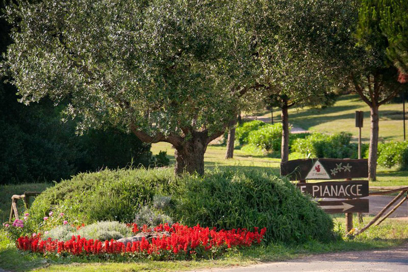 Campingplätze Le Pianacce